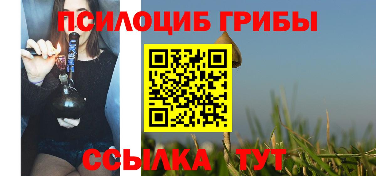 Псилоцибиновые грибы Magic Shrooms  Псилоцибиновые грибы прущие грибы  Киселёвск  даркнет сайт  Вход с VPN 