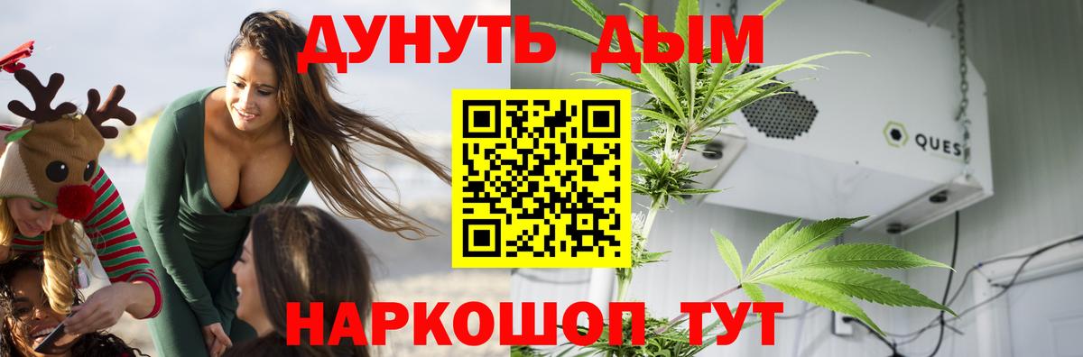 Марихуана марихуана  Каннабис тримм  Вход с VPN  Киселёвск  Шишки марихуана гибрид  МАРИХУАНА тримм 